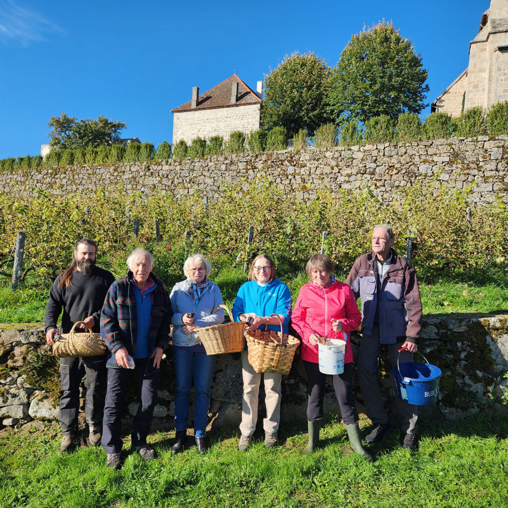 photo de l'équipe de vendangeurs 2025 sous le soleil.
