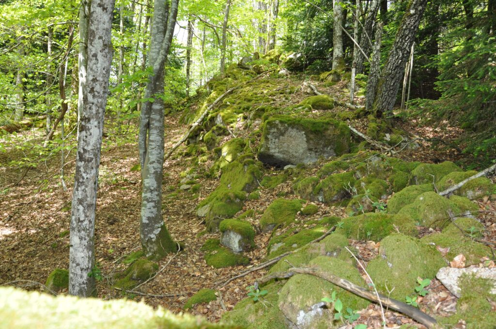 Oppidium des Murauds